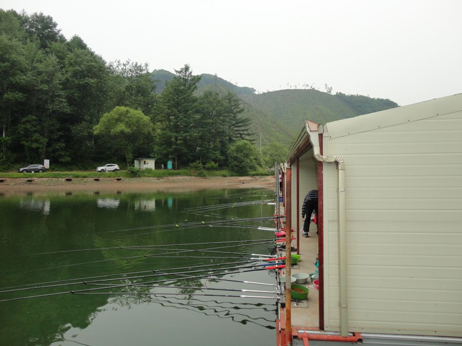 DSC01464.jpg