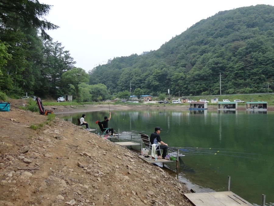 DSC01474.jpg