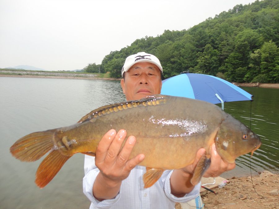 DSC01498.jpg