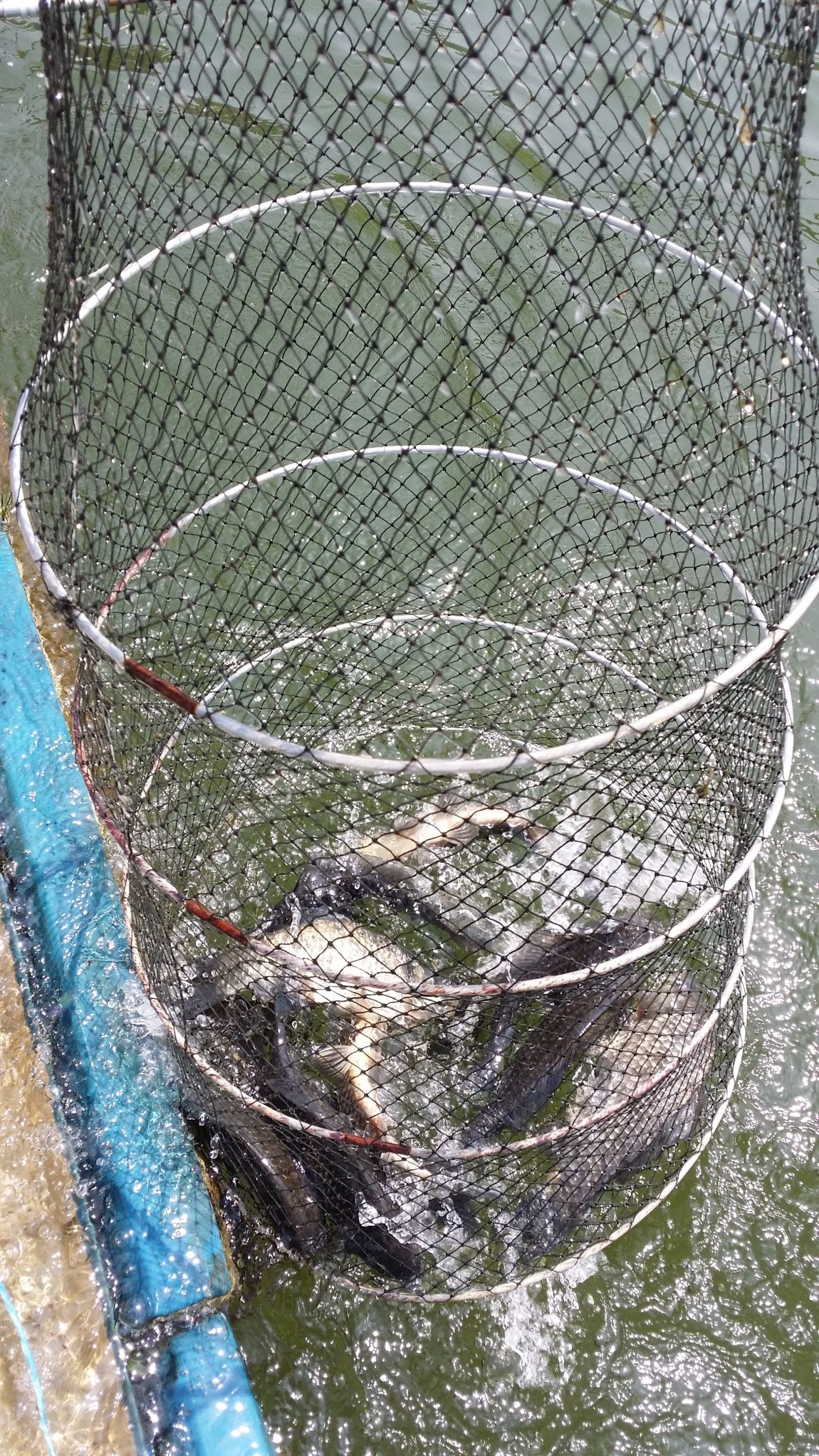 20140529_105519.jpg