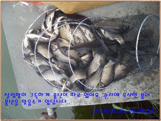 �ٹ̱�_DSC00943.JPG