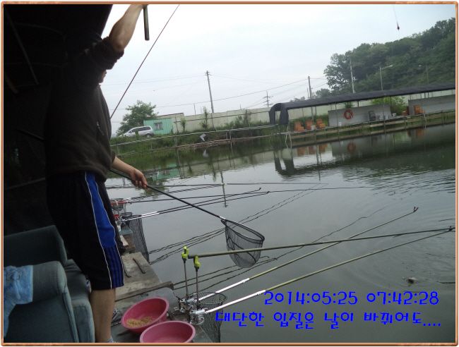�ٹ̱�_DSC00946.JPG