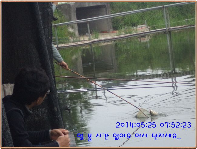 �ٹ̱�_DSC00949.JPG
