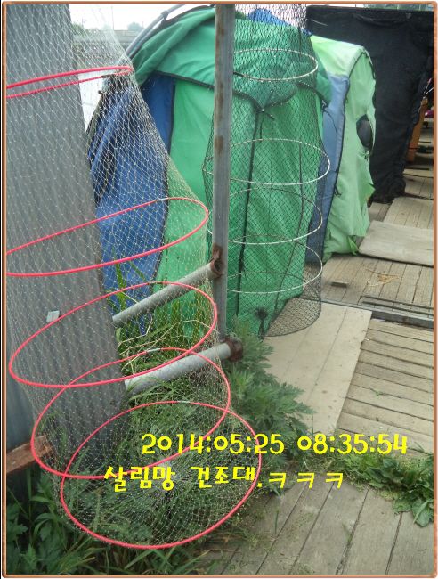 �ٹ̱�_DSC00954.JPG