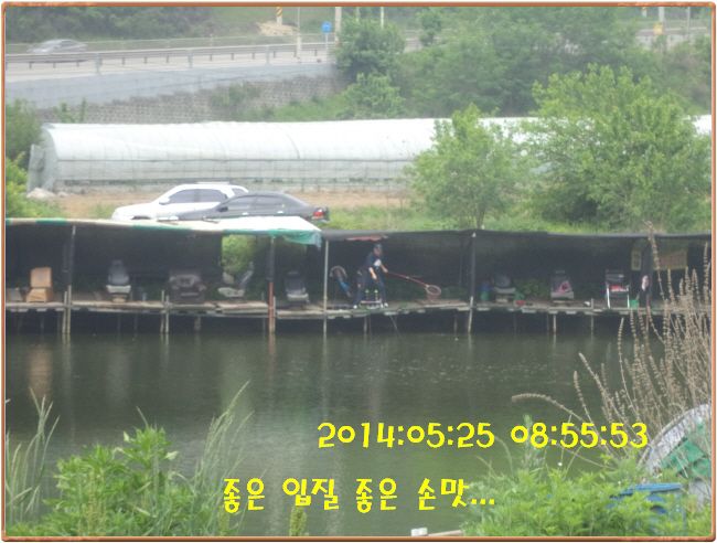 �ٹ̱�_DSC00955.JPG