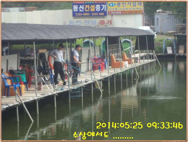 �ٹ̱�_DSC00956.JPG