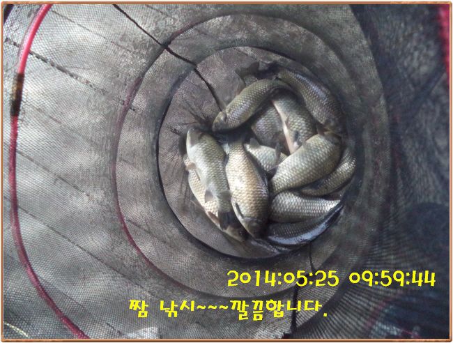 �ٹ̱�_DSC00958.JPG