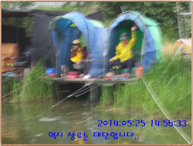 �ٹ̱�_DSC00966.JPG