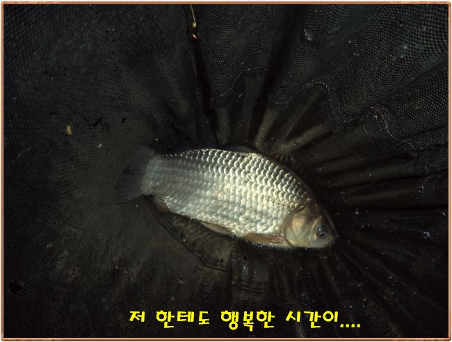 �ٹ̱�_DSC00972.JPG