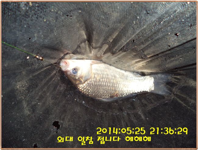 �ٹ̱�_DSC00973.JPG