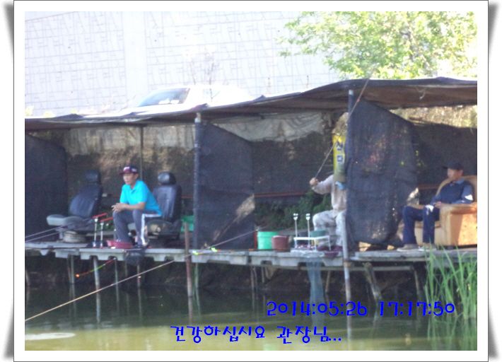 �ٹ̱�_DSC00981.JPG