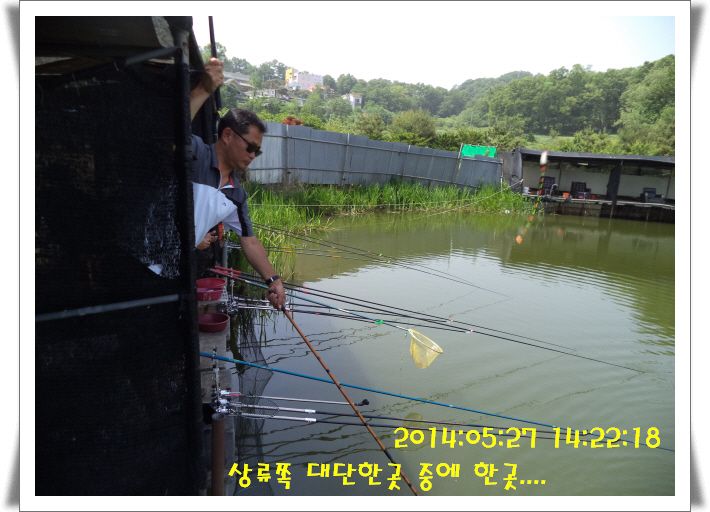 �ٹ̱�_DSC00988.JPG