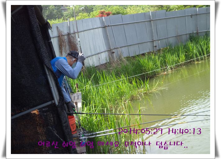 �ٹ̱�_DSC00991.JPG