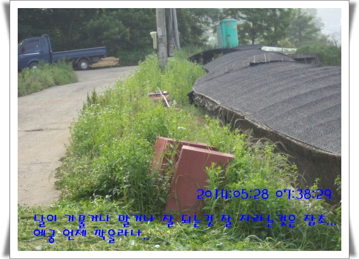 �ٹ̱�_DSC00992.JPG