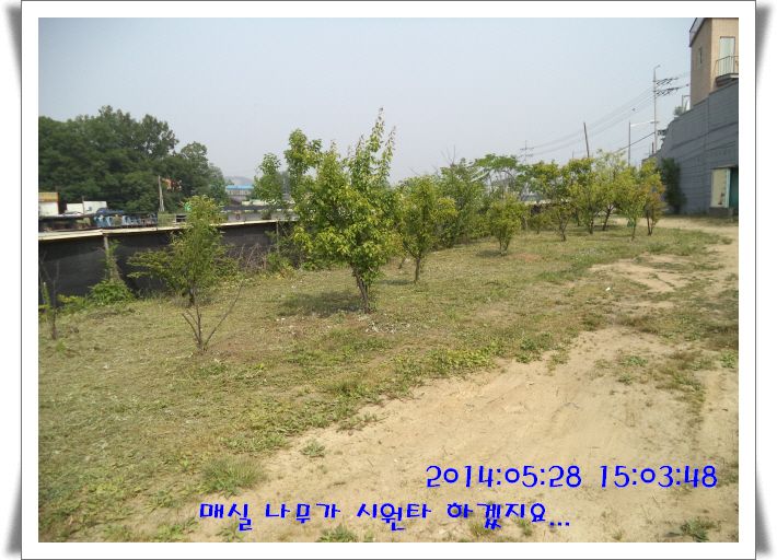 �ٹ̱�_DSC00997.JPG