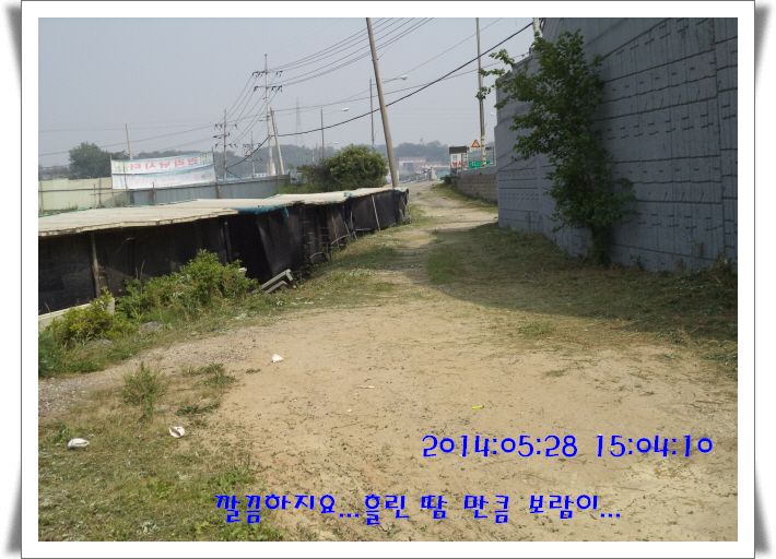 �ٹ̱�_DSC00998.JPG