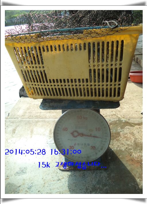 �ٹ̱�_DSC01002.JPG