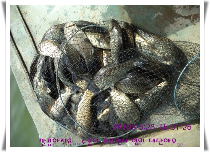�ٹ̱�_DSC01003.JPG