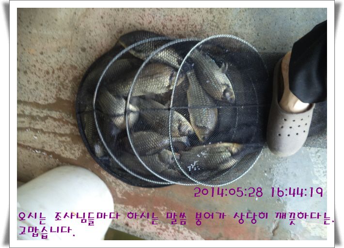 �ٹ̱�_DSC01005.JPG