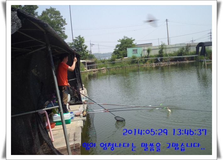 �ٹ̱�_DSC01013.JPG