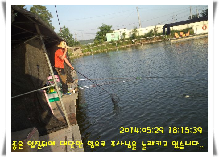 �ٹ̱�_DSC01014.JPG