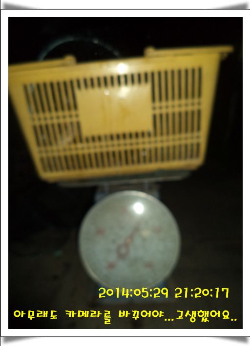 �ٹ̱�_DSC01017.JPG