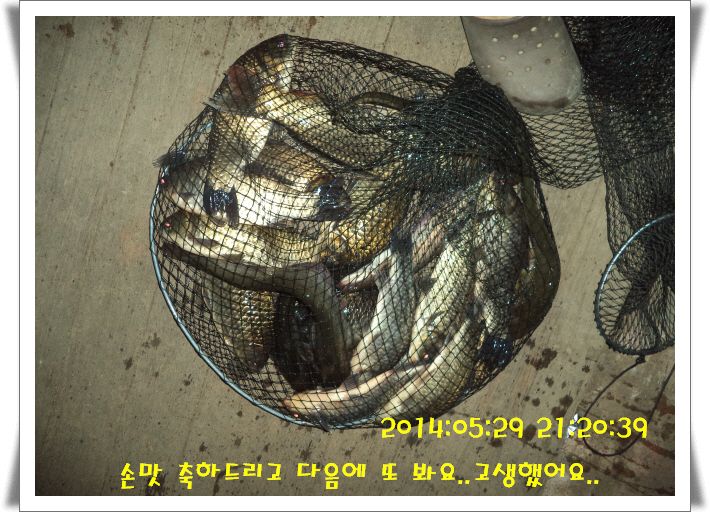 �ٹ̱�_DSC01018.JPG