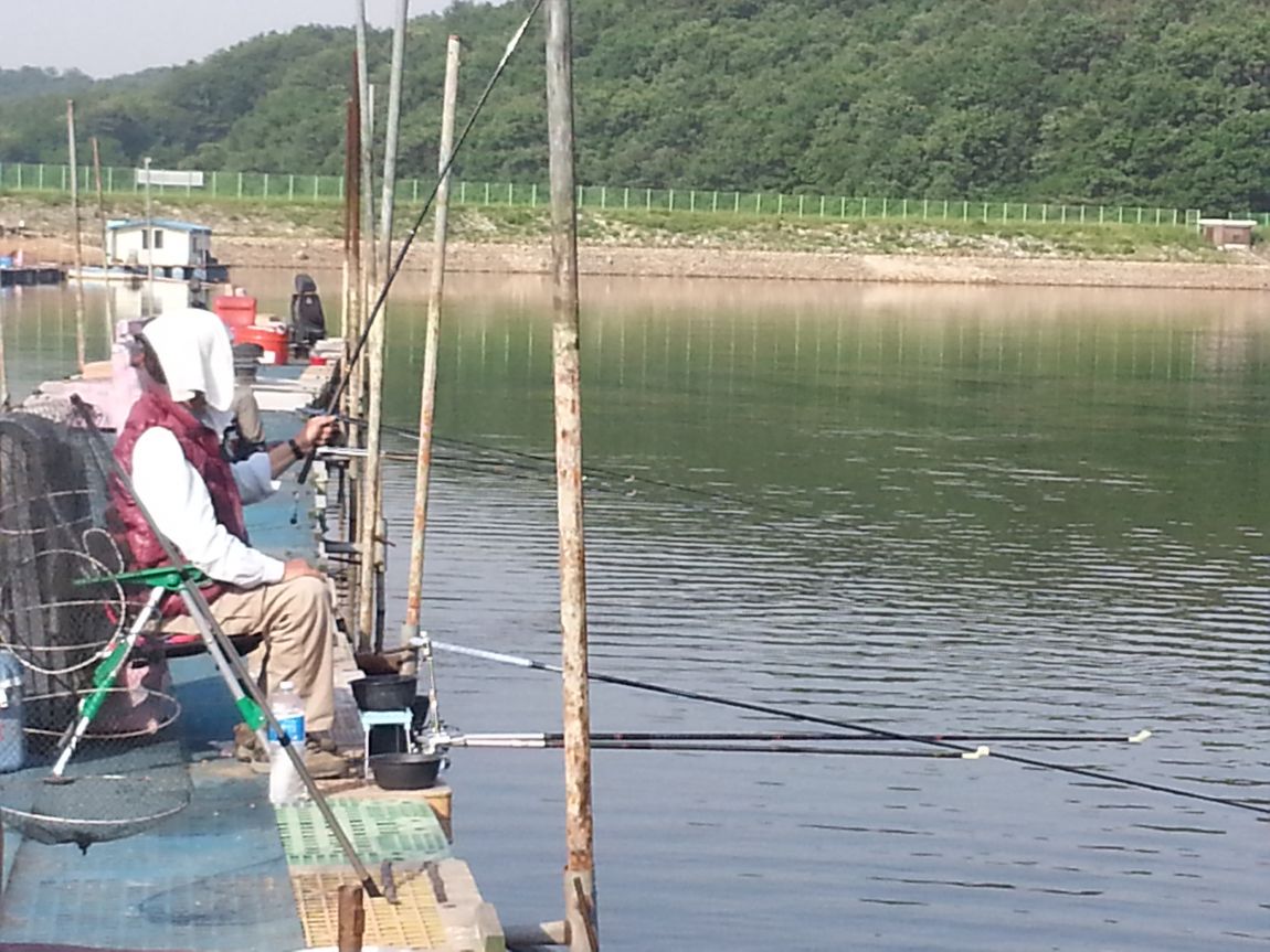 20140531_074802.jpg