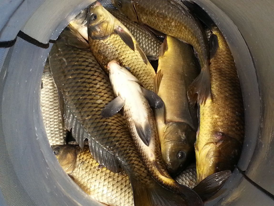 20140526_111444.jpg