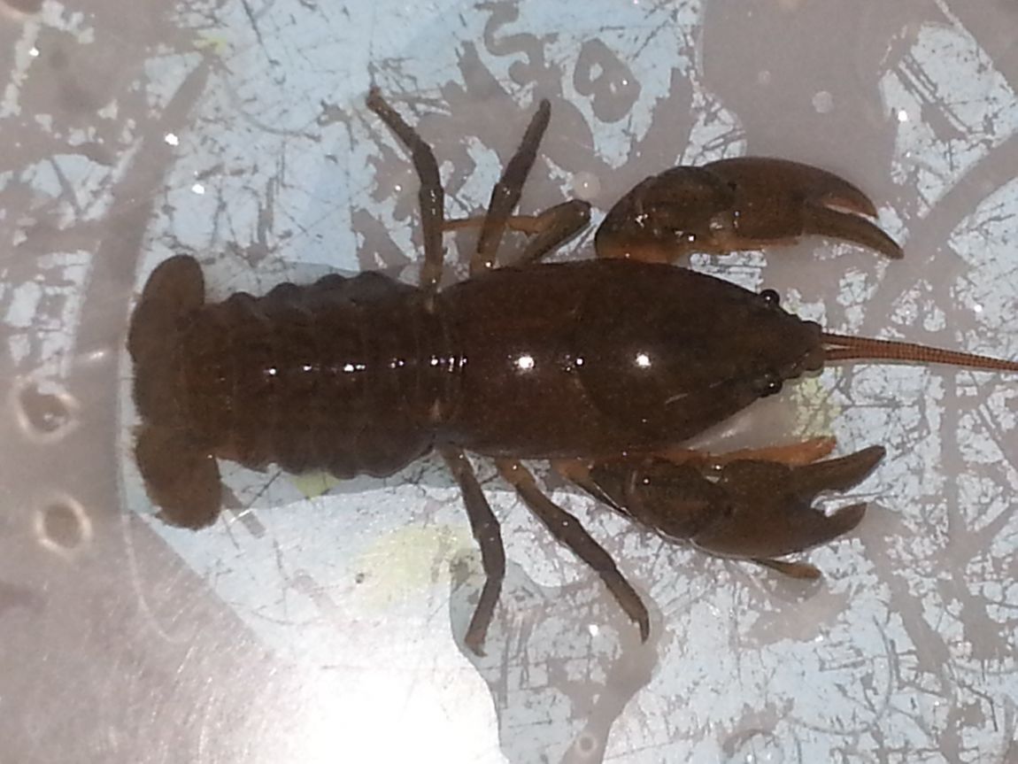 20140516_074327.jpg