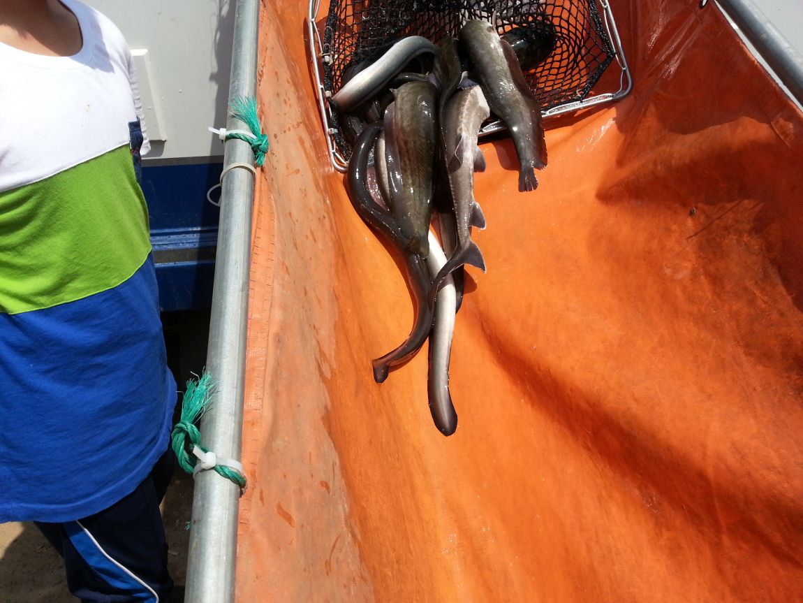 20140531_135622.jpg