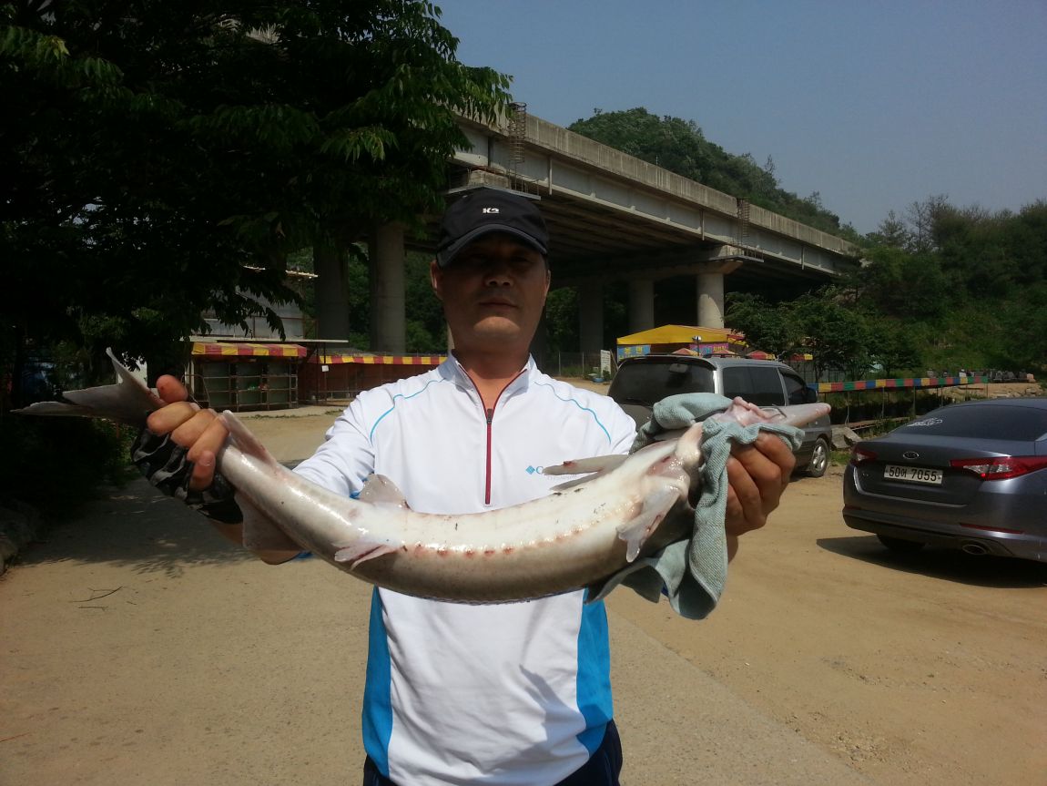 20140531_150115.jpg