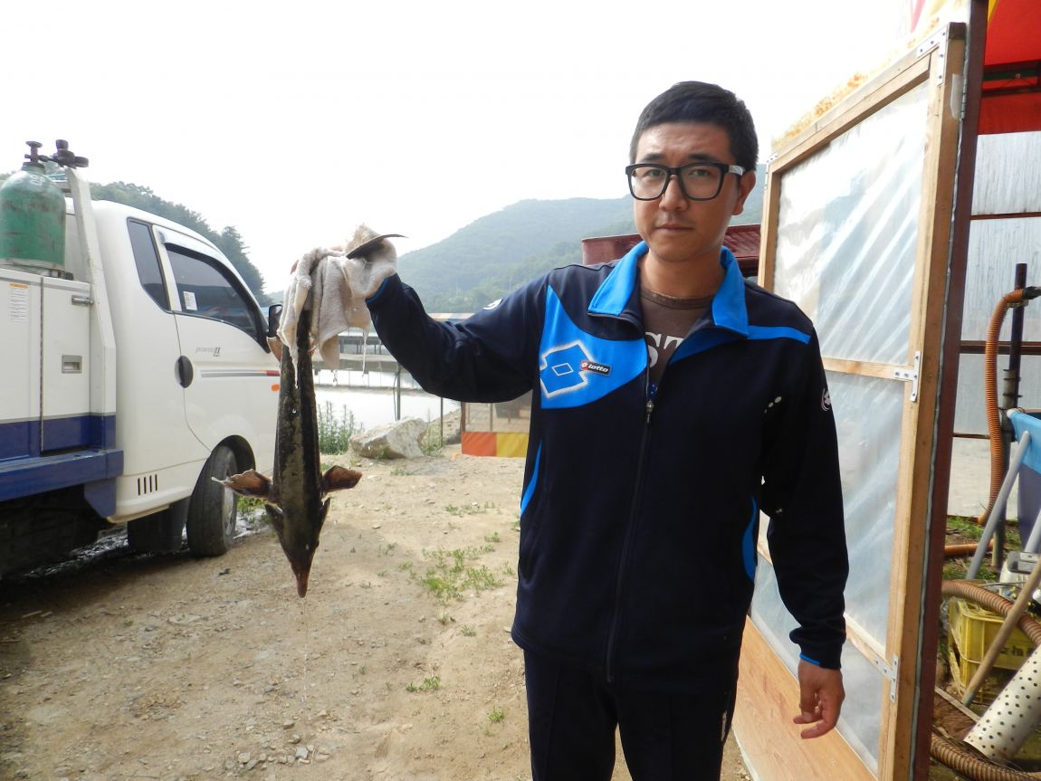 20140601_DSCN0148.JPG