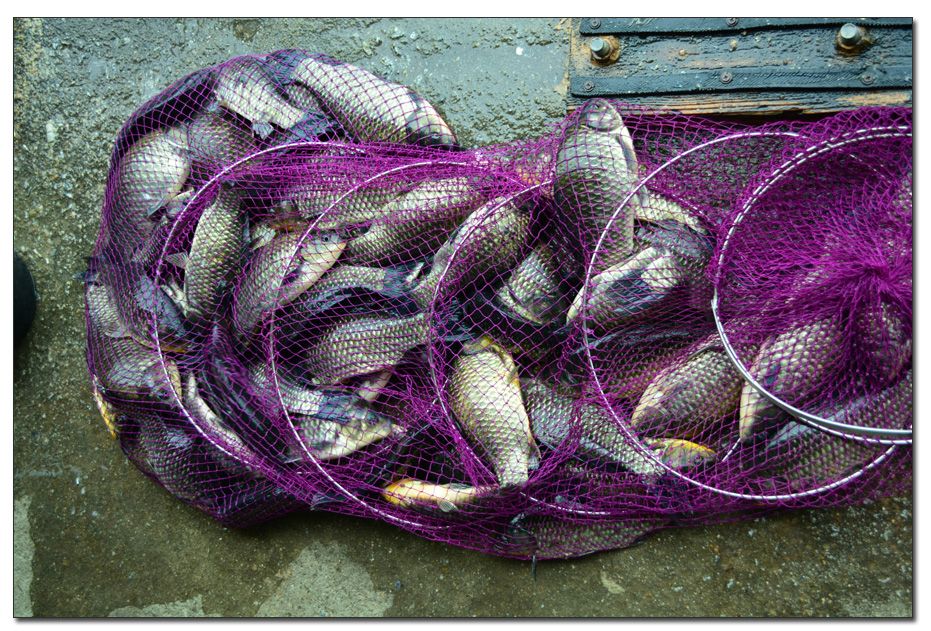 Untitled-1 copy.jpg