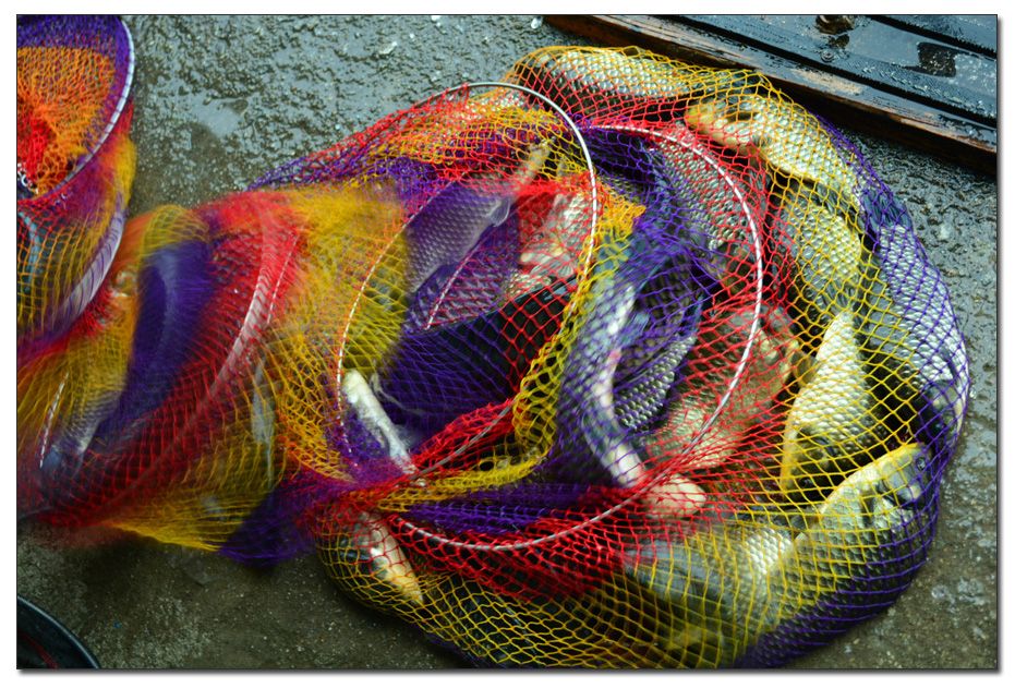 Untitled-1 copy 3.jpg