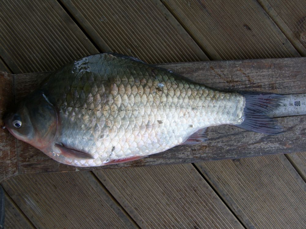 SH108813.JPG