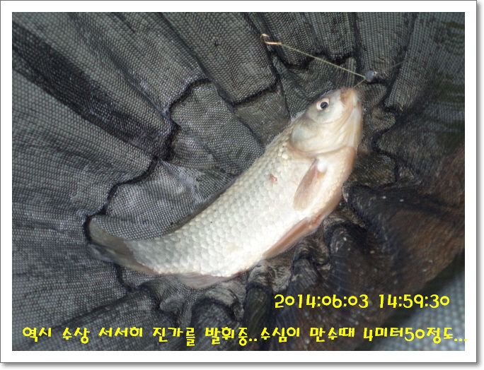 �ٹ̱�_DSC01190.JPG