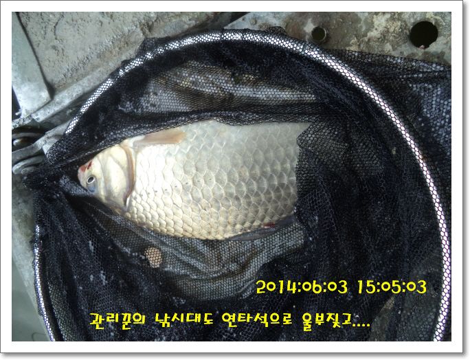 �ٹ̱�_DSC01191.JPG