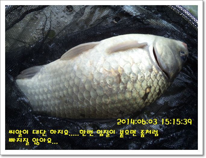 �ٹ̱�_DSC01192.JPG