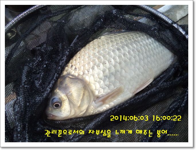 �ٹ̱�_DSC01195.JPG