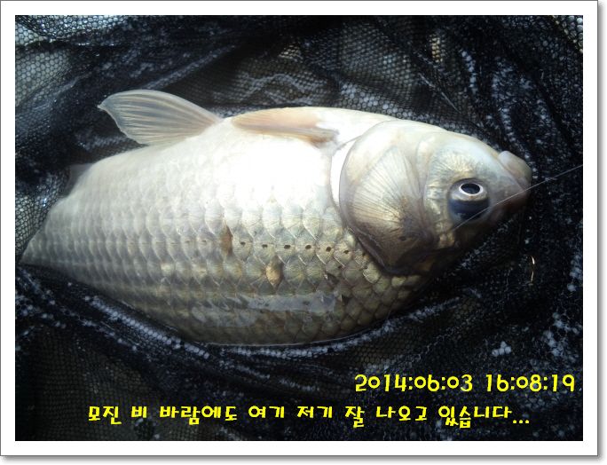 �ٹ̱�_DSC01196.JPG