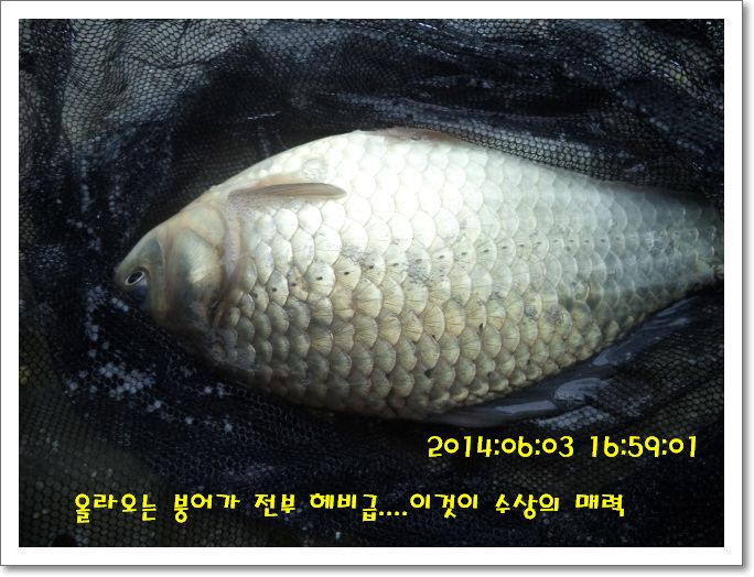 �ٹ̱�_DSC01203.JPG