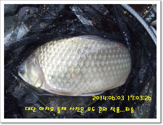 �ٹ̱�_DSC01204.JPG