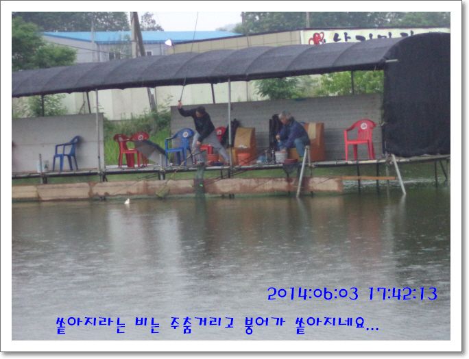 �ٹ̱�_DSC01206.JPG