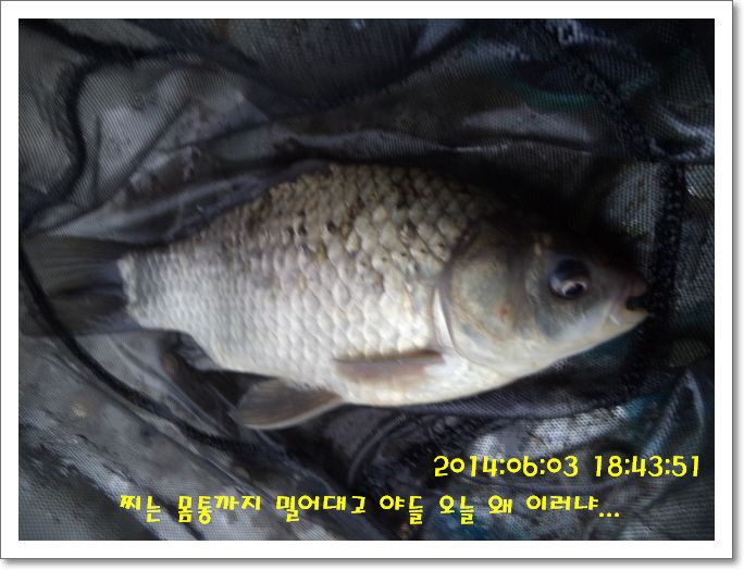 �ٹ̱�_DSC01218.JPG