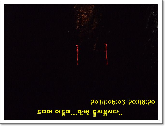 �ٹ̱�_DSC01222.JPG