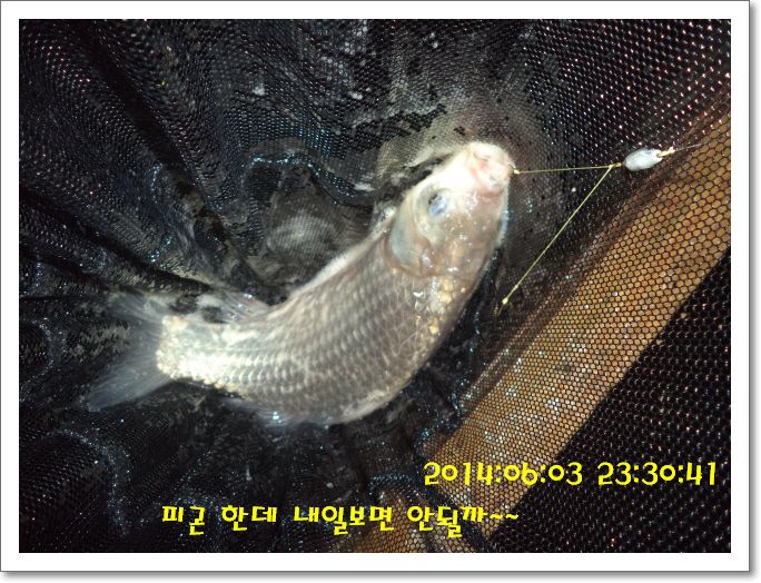 �ٹ̱�_DSC01224.JPG
