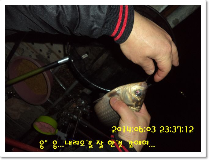 �ٹ̱�_DSC01226.JPG
