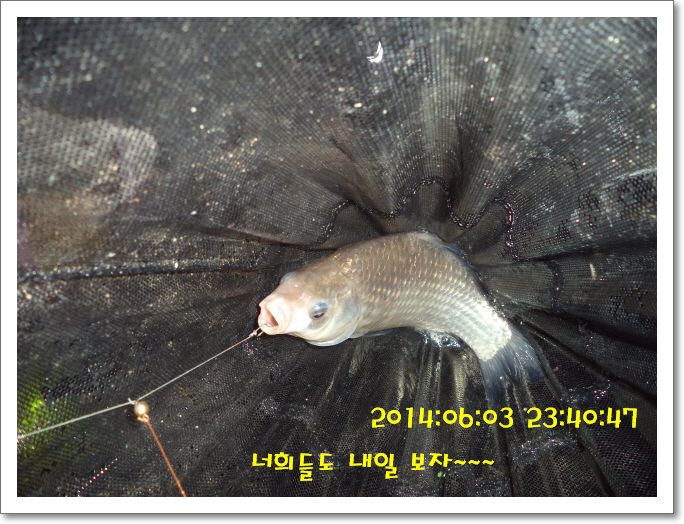 �ٹ̱�_DSC01228.JPG