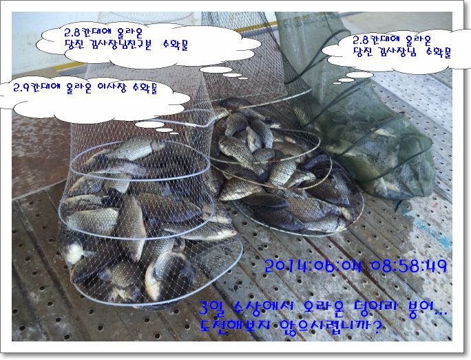 �ٹ̱�_DSC01229.JPG